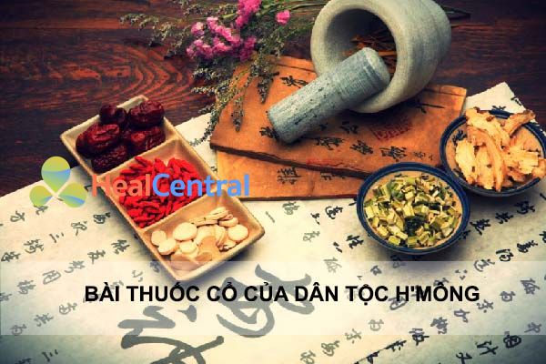 Thăng Trĩ Dưỡng Huyết Thang - Giải pháp cho người bệnh trĩ