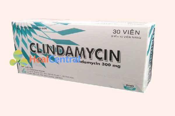 Thuốc Clindamycin