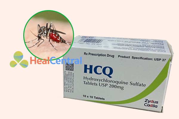 Thuốc HCQ có tác dụng điều trị sốt rét