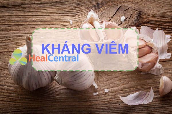 Tỏi có tác dụng kháng viêm