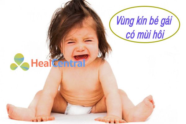 Vùng kín bé gái có mùi khó chịu