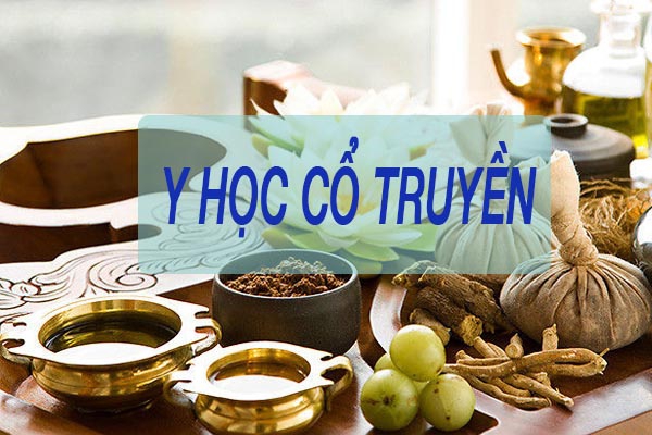 Hòe hoa là vị thuốc quý trong y học cổ truyền