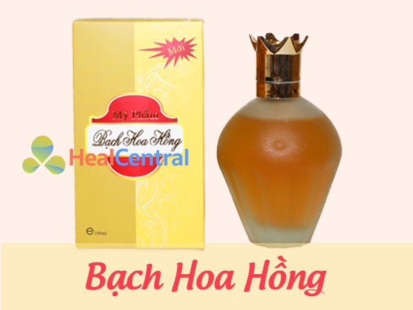 cách sử dụng bạch hoa hồng