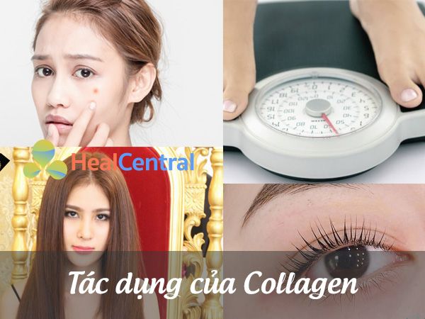 Tác dụng của viên uống Collagen