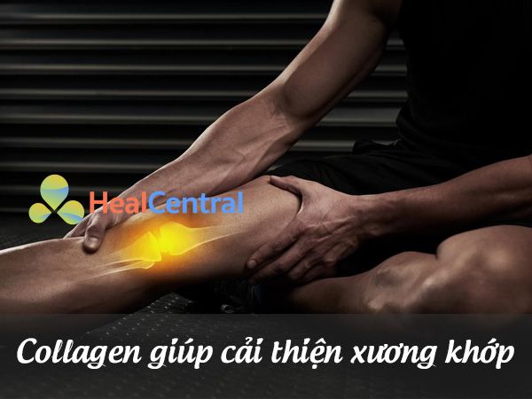 Collagen giúp cải thiện xương khớp