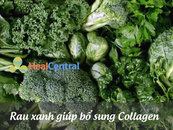 Các loại rau xanh có thể cung cấp thêm Collagen