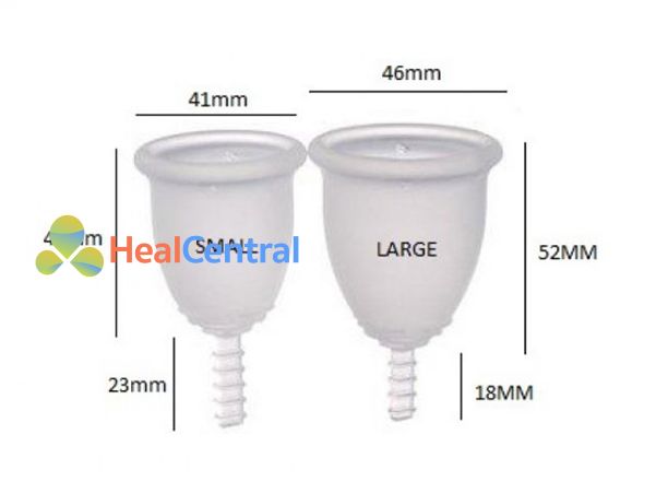 Kích cỡ cụ thể hai loại size của Cốc nguyệt san Fleurcup