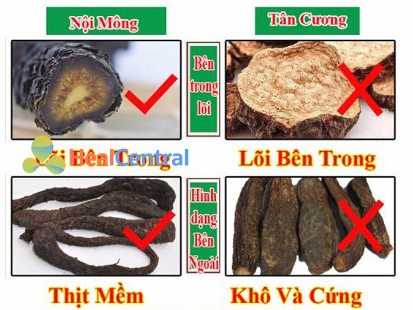 Các dạng Nhục Thung Dung