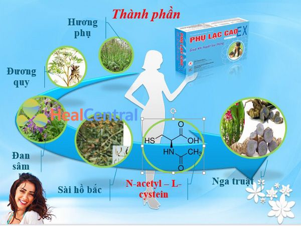 Các thành phần chính của Phụ Lạc Cao EX 