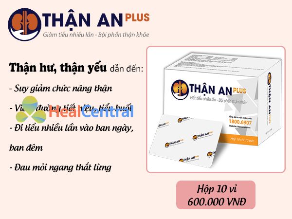 Thận An Plus hỗ trợ điều trị cho những bệnh nhân suy thận, những người gặp phải tình trạng đi tiểu nhiều, đi tiểu đêm, đau mỏi ngang lưng,...