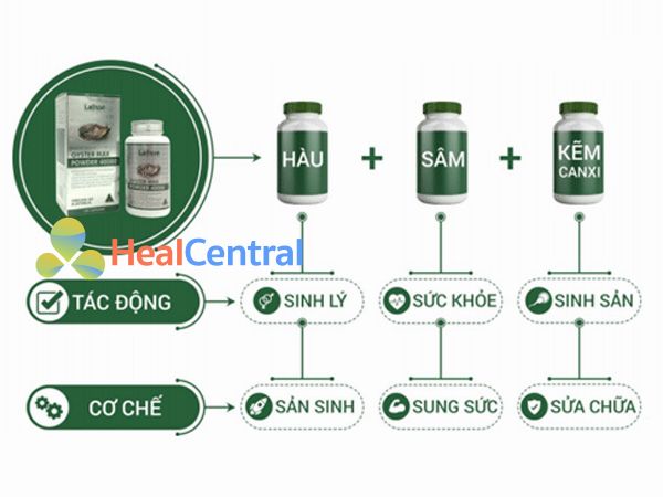 Sự kết hợp của các thành phần quý có trong Tinh hàu Lalisse