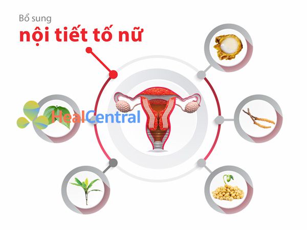 Các thành phần chính của Tố nữ Nhất Nhất