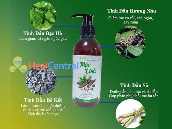 Thành phần có trong dầu gội Mộc Linh 