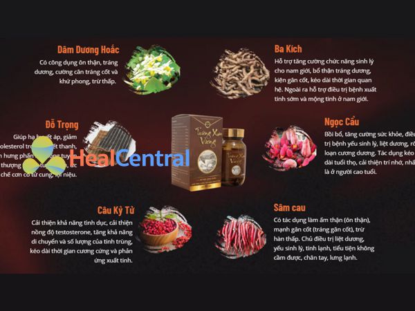 Các thành phần chính có trong Trường Xuân Vương
