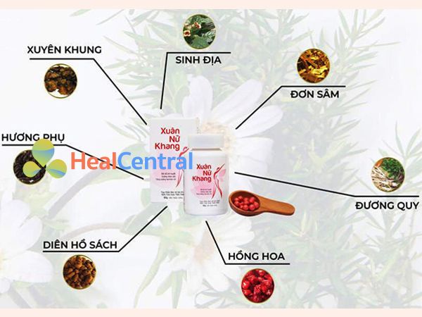 Các thành phần chính của Xuân Nữ Khang 