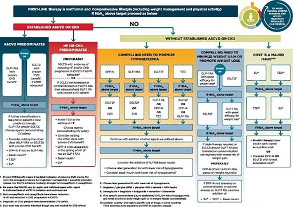 Phác đồ điều trị Đái tháo đường type 2 theo ADA 2020