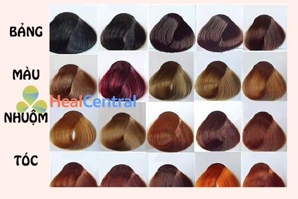 Thuốc nhuộm tóc ĐỎ DÂU ĐỎ HỒNG không cần dùng thuốc tẩy tóc buddyhairs  tặng kèm găng tay trợ nhuộm tiện ích  EMIE VIỆT NAM