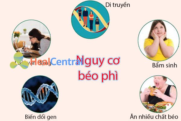 Nguy cơ gây ra béo phì do bản thân người bệnh