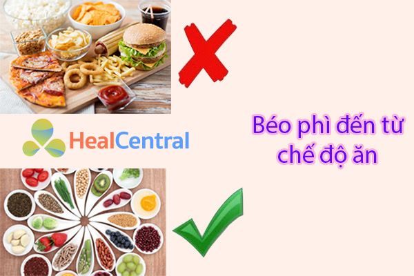 Nguy cơ hàng đầu gây béo phì đến từ chế độ ăn uống