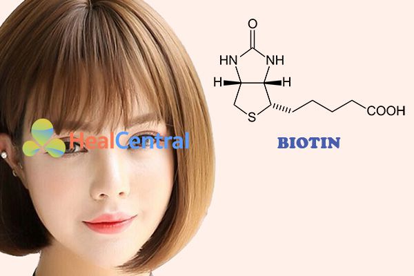 Biotin là thành phần thường thấy trong các sản phẩm dưỡng tóc