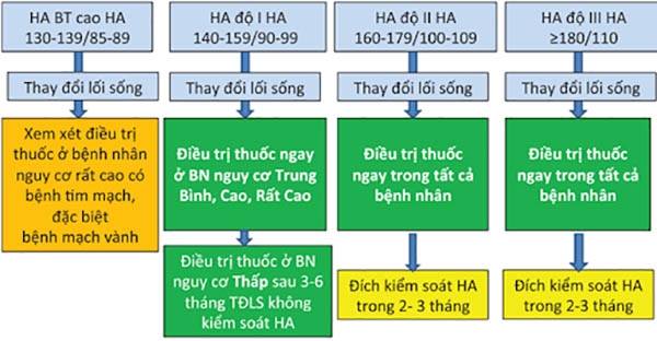 Hình 3. Ngưỡng huyết áp ban đầu cần điều trị. HA: huyết áp, BT: bình thường, BN: bệnh nhân, TĐLS: thay đổi lối sống.