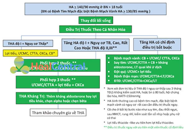 Hình 6. Khuyến cáo điều trị tăng huyết áp theo Hội Tim mạch Việt nam 2018. THA: tăng huyết áp, BN: bệnh nhân, TB: trung bình, ƯCMC: ức chế men chuyển, CTTA: chẹn thụ thể angiotensin, CKCa: chẹn kênh calcium, CB: chẹn β giao cảm, LT: lợi tiểu, TĐLS: thay đổi lối sống, HATT: huyết áp tâm thu, NMCT: nhồi máu cơ tim.