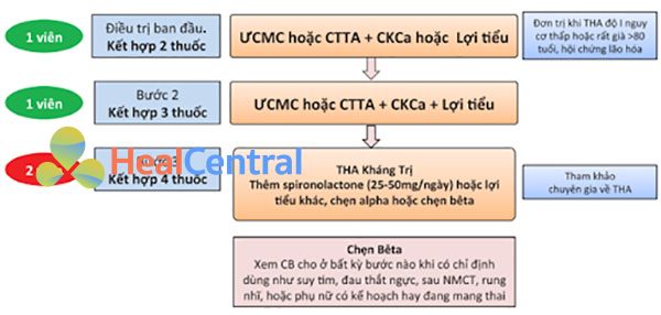 Hình 7. Chiến lược phối hợp thuốc điều trị tăng huyết áp không biến chứng, tăng huyết áp có tổn thương cơ quan đích, đái tháo đường, bệnh lý mạch máu não hoặc bệnh động mạch ngoại biên. THA: tăng huyết áp, ƯCMC: ức chế men chuyển, CTTA: chẹn thụ thể angiotensin, CKCa: chẹn kênh calcium, CB: chẹn β giao cảm, NMCT: nhồi máu cơ tim. Chẹn β giao cảm là thuốc hàng 1 nhưng có xu hướng ưu tiên dùng khi có chỉ định bắt buộc. Ưu tiên dùng viên phối hợp cố định liều để tăng tuân thủ điều trị. Chống chỉ định phối hợp thuốc ức chế men chuyển và thuốc chẹn thụ thể angiotensin.