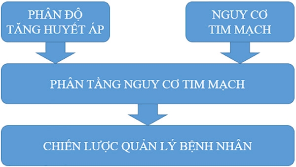 Hình 1. Các bước tiến hành để quản lý bệnh nhân.