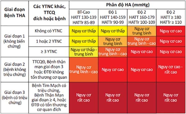 Bảng 6. Phân tầng nguy cơ tim mạch theo mức huyết áp, các yếu tố nguy cơ, tổn thương cơ quan đích và các bệnh lý mắc kèm. THA: tăng huyết áp, YTNC: yếu tố nguy cơ, TTCQĐ: tổn thương cơ quan đích, ĐTĐ: đái tháo đường, HATT: huyết áp tâm thu, HATTr: huyết áp tâm trương.