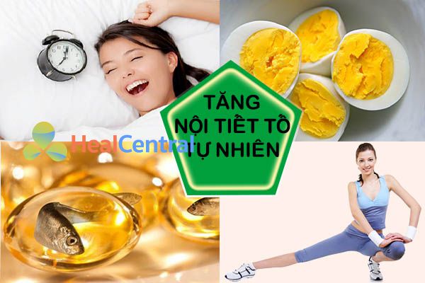 Cách tăng cường nội tiết tố tự nhiên