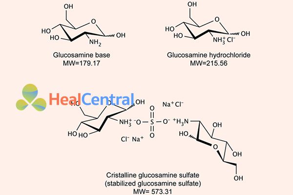 Cấu trúc của Glucosamin, Glucosamin hydrochlorid và Glucosamin Sulfat tinh thể