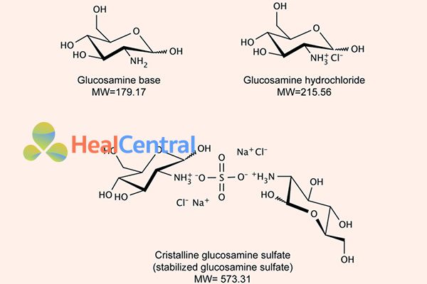 Cấu trúc của Glucosamin, Glucosamin hydrochlorid và Glucosamin Sulfat tinh thể