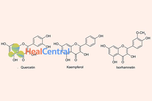 Cấu trúc hóa học của 3 hợp chất flavonoid chính trong lá bạch quả