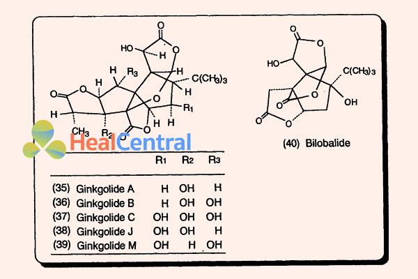 Cấu trúc hóa học của các hợp chất Ginkgolid A, B, C, J, M và bilobalid