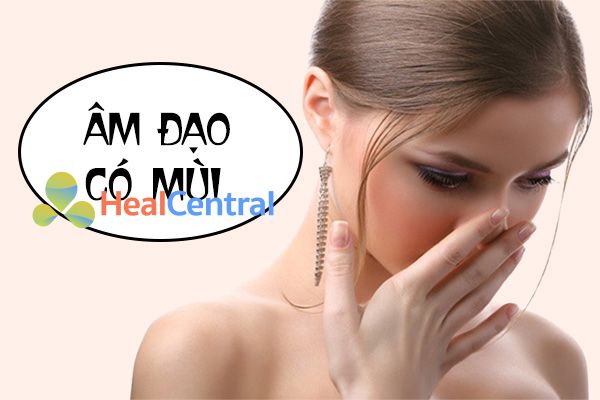 Có phải âm đạo có mùi là viêm âm đạo?