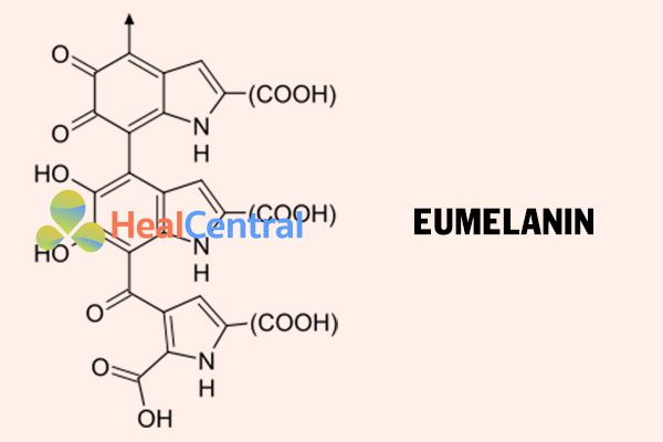 Công thức hóa học của Eumelanin