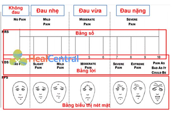 Ví dụ về các thang đánh giá 1 khía cạnh