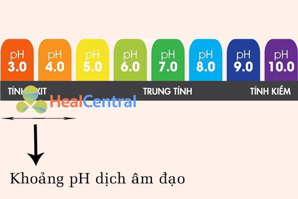 Dịch âm đạo có môi trường acid