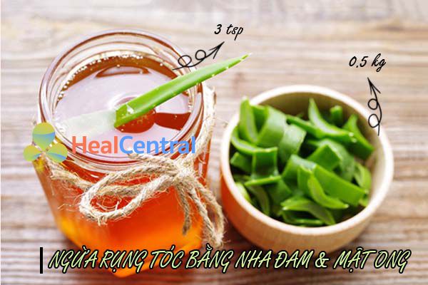 Dùng nha đam và mật ong trị rụng tóc tại nhà