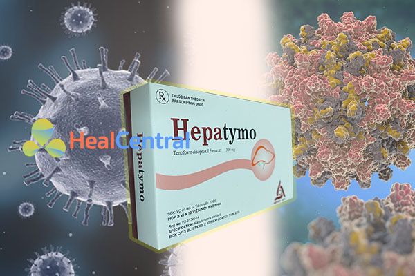 Hepatymo có tác dụng nhất định lên virus HBV và HIV