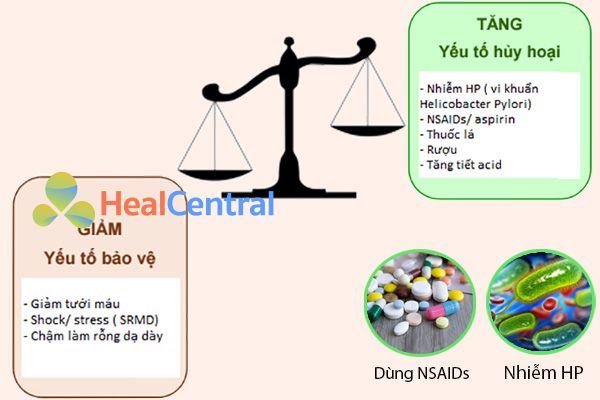 Nguyên nhân gây loét dạ dày-tá tràng do HP và NSAIDs