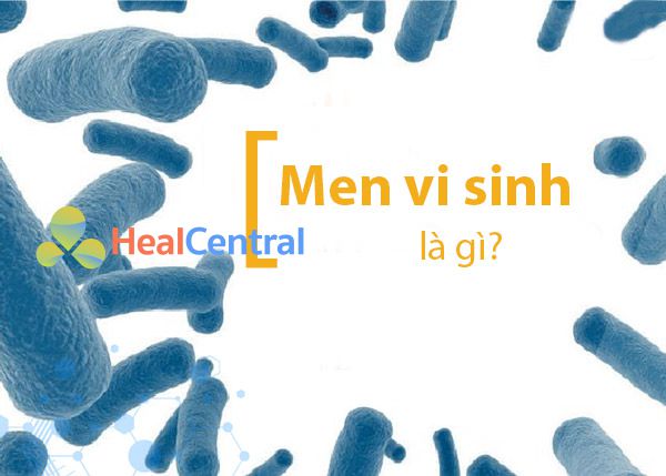 Nên lựa chọn men vi sinh phù hợp nhất cho từng đối tượng