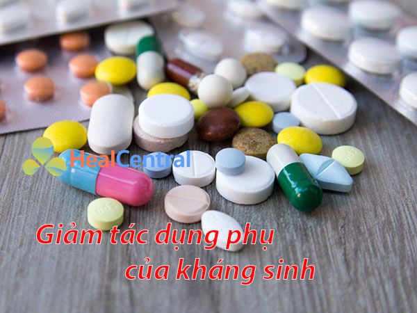 Men vi sinh giúp giảm tác dụng phụ của thuốc kháng sinh trên đường tiêu hóa
