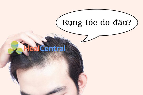 7 Bí Kiếp Cách Làm Tóc Dày Hơn  XACHTAYNHATNET