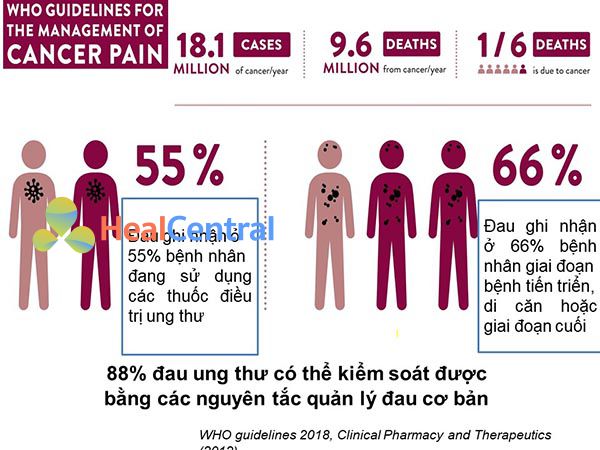 Sử dụng thuốc giảm đâu trong ung thư