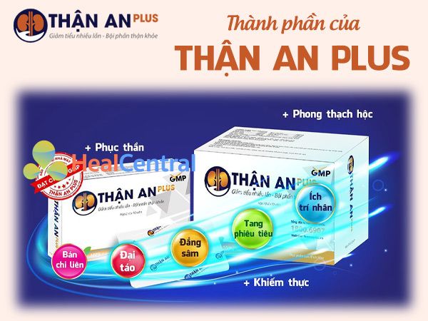 Các thành phần trong Thận An Plus tương hỗ lẫn nhau tạo nên công dụng tuyệt vời 