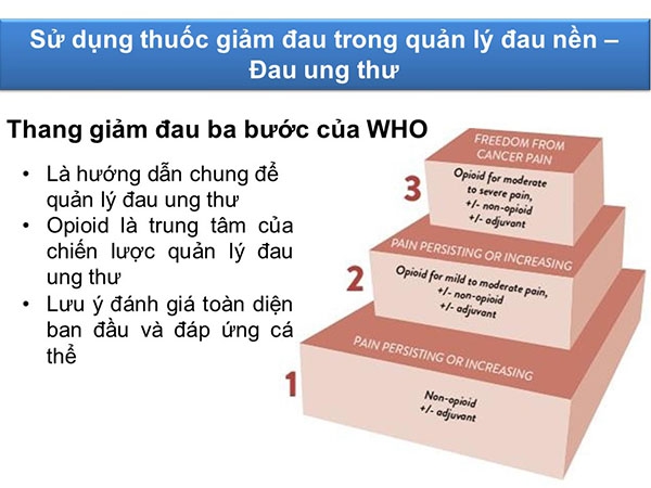 Ảnh: Mô tả bậc thang giảm đau 3 bước của WHO.