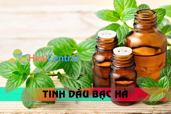 Thành phần đem lại tác dụng chính của Cao Ayofa là tinh dầu bạc hà