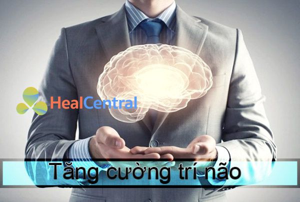 Thuốc bổ não: loại thuốc đang được rất nhiều người quan tâm hiện nay