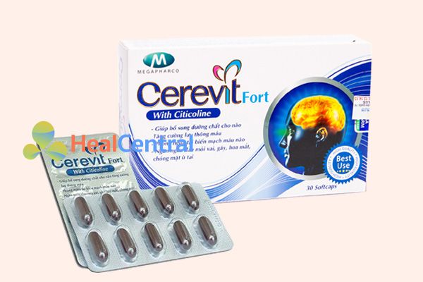 Cerevit Fort - chỉ định cho các bệnh nhân thiểu năng tuần hoàn não